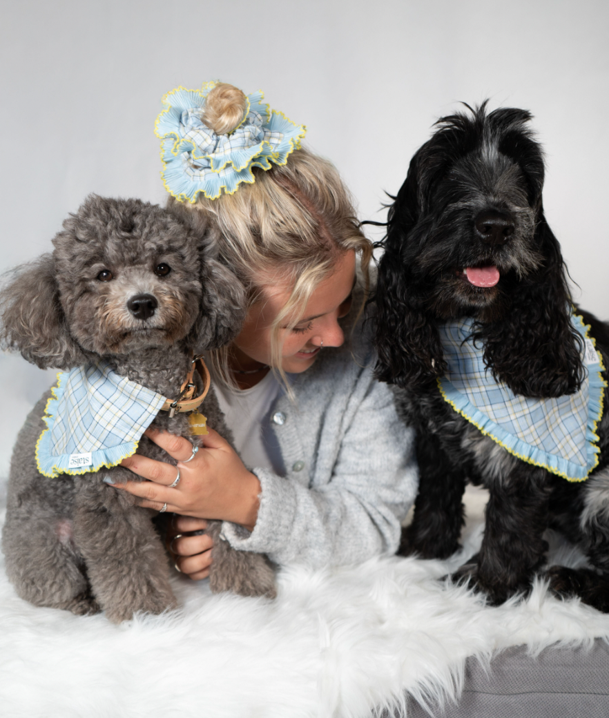 Brighton Blue Dog Bandana