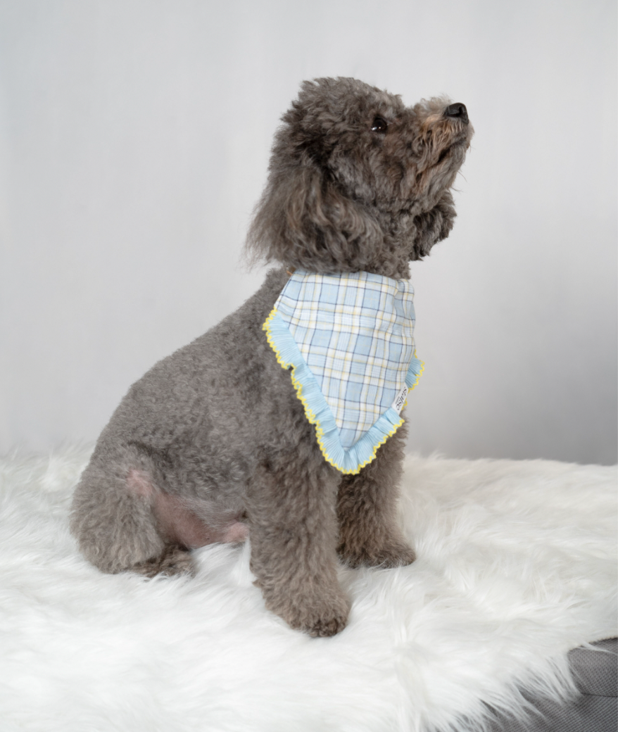 Brighton Blue Dog Bandana