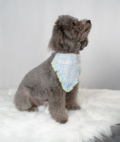 Brighton Blue Bandana