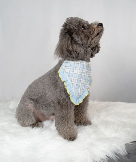 Brighton Blue Bandana